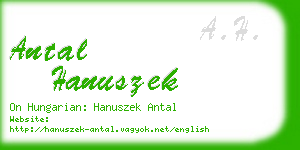 antal hanuszek business card